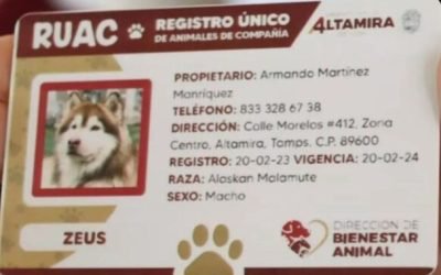 CURP para mascotas: Así puedes tramitar el RUAC
