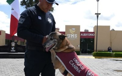 Autoridades mexiquenses jubilan a 26 caninos que sirvieron a la comunidad