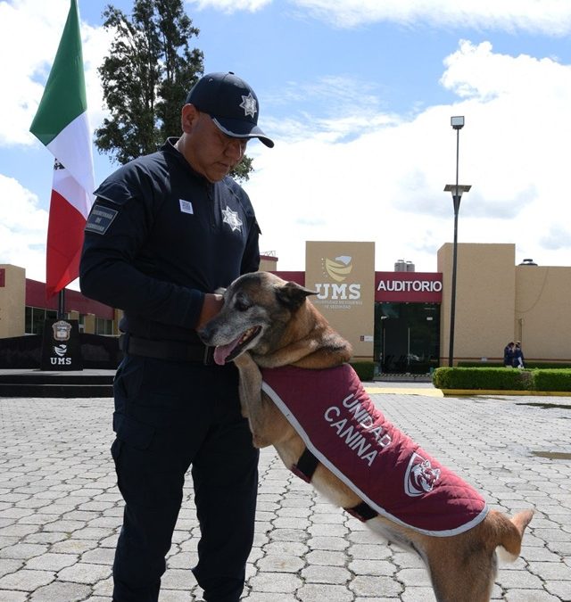 Autoridades mexiquenses jubilan a 26 caninos que sirvieron a la comunidad