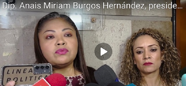 Indignante manto protector de la Sección instructora a Cuauhtémoc Blanco: Dip. Burgos