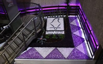 Cuatro organizaciones ciudadanas pierden su registro ante el IECM