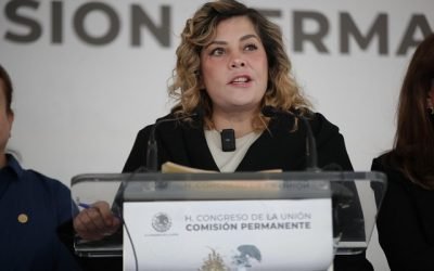 Analizará PT contenido de eventuales reformas secundarias, antes de fijar postura: Lilia Aguilar Gil
