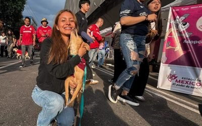 Perros sin hogar encuentran familia en jornada de adopción del Gobierno del EdoMéx