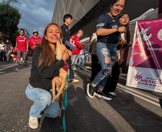 Perros sin hogar encuentran familia en jornada de adopción del Gobierno del EdoMéx