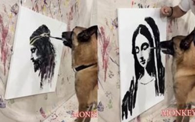 ¡Lomito Da Vinci! Perrito pinta el rostro de Jesucristo y la Virgen en Instagram y se vuelve viral