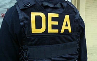 Golpe al Cártel de Sinaloa: DEA captura a 617 narcos en una semana