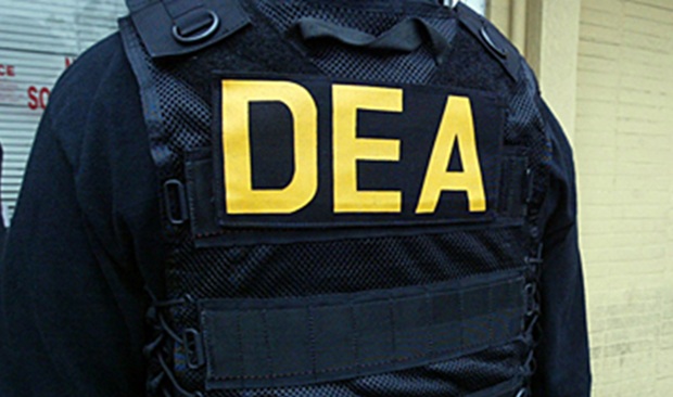 Golpe al Cártel de Sinaloa: DEA captura a 617 narcos en una semana