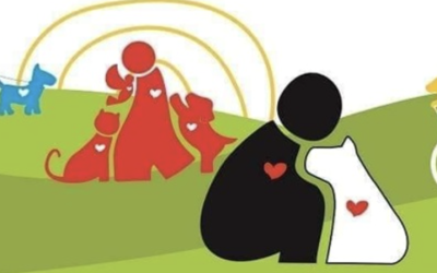 CRISIS DE PERROS Y GATOS EN MÉRIDA