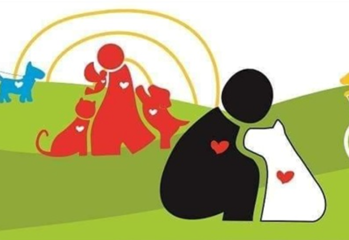 CRISIS DE PERROS Y GATOS EN MÉRIDA