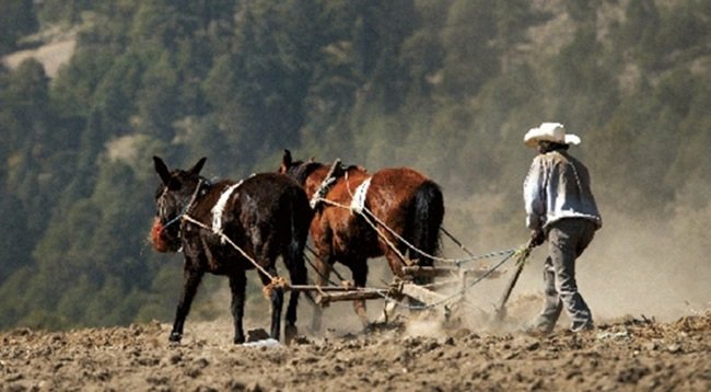 Primero la alimentación