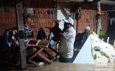 MÉXICO ESTÁ DE LUTO Y, ANTE LA TRAGEDIA, MORENA GUARDA SILENCIO: MORENO CÁRDENAS