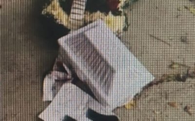 Caso Elizabeth Soto: todo lo que ha pasado con la activista contra el maltrato animal que recibió amenazas