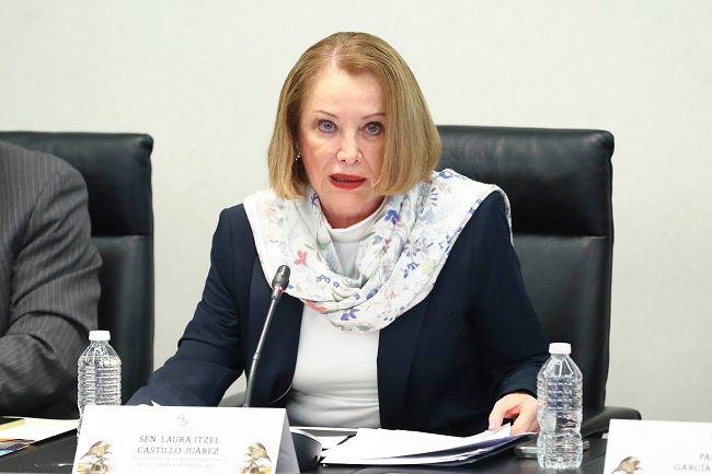 Urge senadora Itzel Castillo a utilizar tecnología para mitigar Gases de Efecto Invernadero y cambio climático