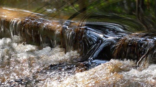 UNBIO exige a la PROFEPA actuar de inmediato ante el derrame de hidrocarburos en el Río Pantepec