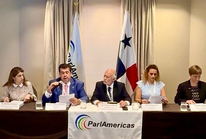 ASUME PEDRO HACES LA VICEPRESIDENCIA DEL COMITÉ DE SEGURIDAD DE PARLAMERICAS