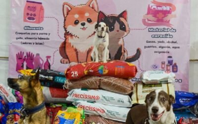 Amor con amor se paga