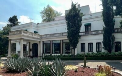 Alto inmediato a la matanza de gatos en el Complejo Cultural Los Pinos