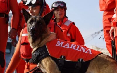 Inicia Plan Marina “Operación Salvavidas Invierno 2025”, en las playas de mayor afluencia turística de nuestro país