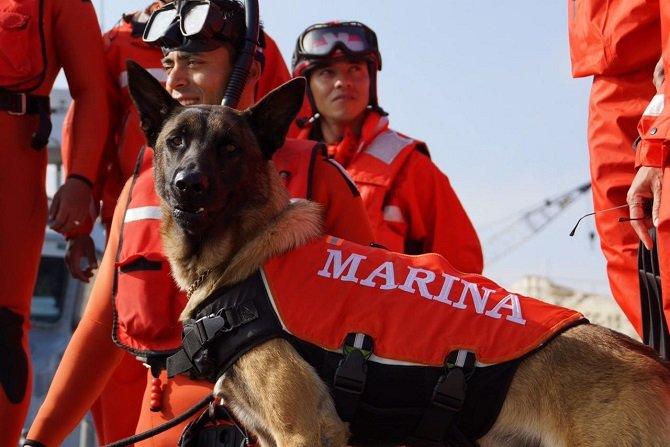 Inicia Plan Marina “Operación Salvavidas Invierno 2025”, en las playas de mayor afluencia turística de nuestro país