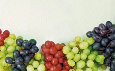 Uvas para fin de año: Profeco presenta sus variedades, beneficios y precios mínimos y máximos
