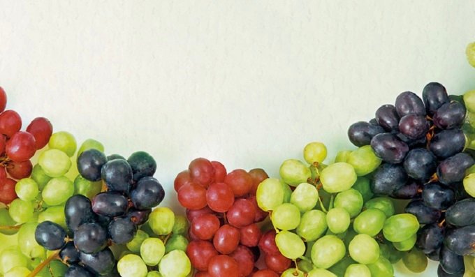 Uvas para fin de año: Profeco presenta sus variedades, beneficios y precios mínimos y máximos