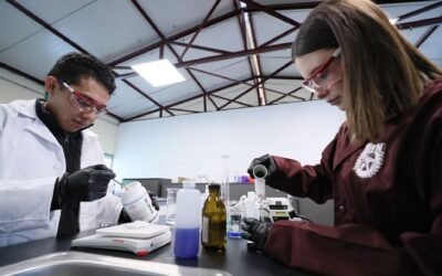 Alista IPN plástico que se disuelve y purifica el agua