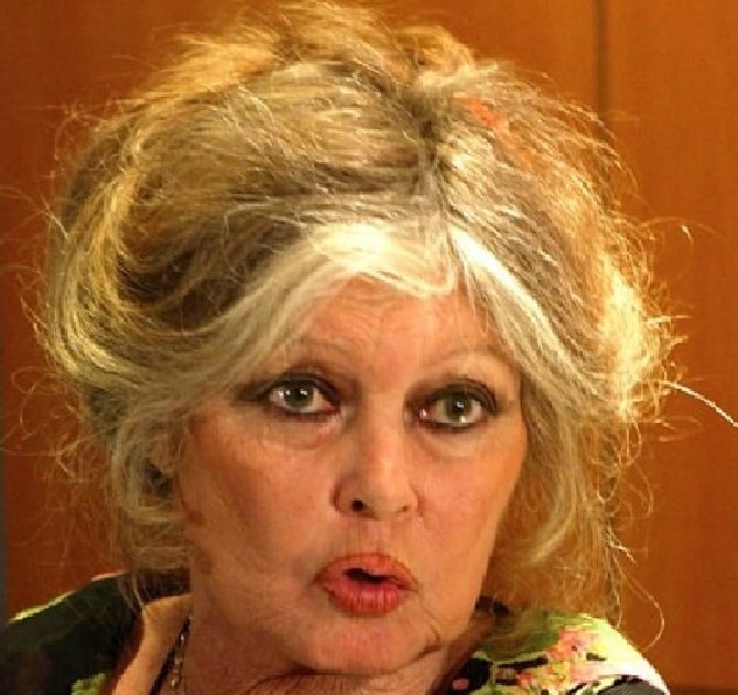 Muere Brigitte Bardot, estrella del cine francés a los 91 años