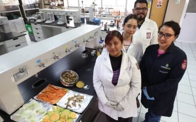 Investigadores del IPN avanzan para convertir desechos agroindustriales en platos degradables