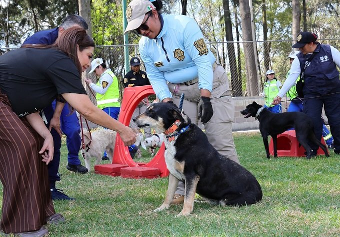CLARA BRUGADA LLAMA A LA CIUDADANÍA A SUMAR IDEAS POR EL BIENESTAR ANIMAL
