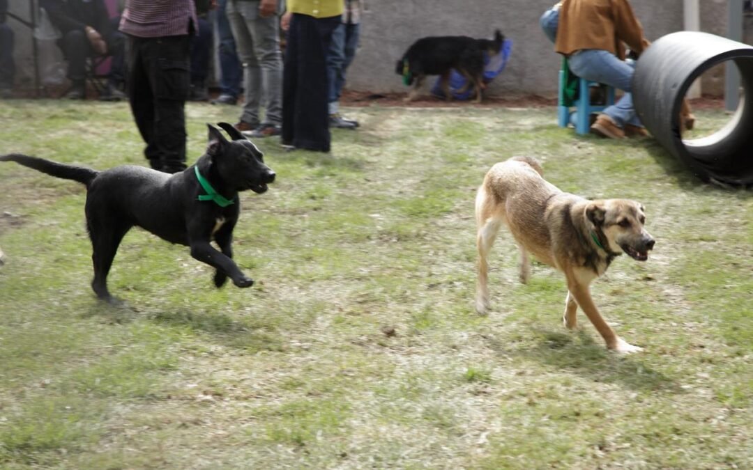 GOBIERNO DE LA CDMX NO TIENE NADA QUE ESCONDER