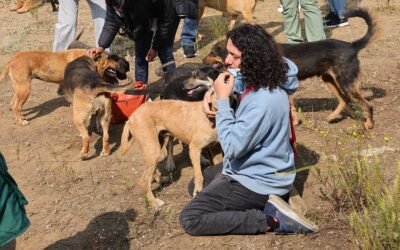 GOBIERNO DE LA CDMX ASEGURA ATENCIÓN DE LOS 304 PERROS RESGUARDADOS EL AJUSCO