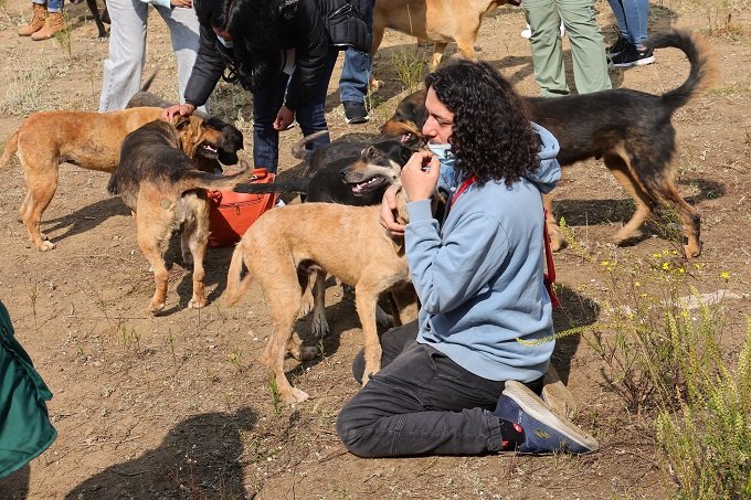 GOBIERNO DE LA CDMX ASEGURA ATENCIÓN DE LOS 304 PERROS RESGUARDADOS EL AJUSCO
