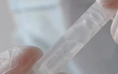 De cara al Mundial de Futbol, hay que fortalecer la vacunación