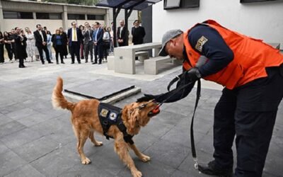 Recibe la UNAM, en donación, dos caninos para detección y prevención de riesgos