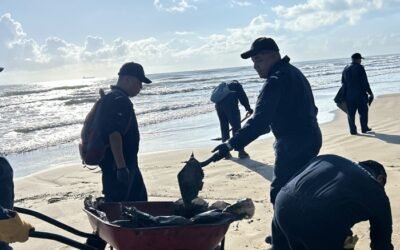 GRUPO INTERINSTITUCIONAL GARANTIZA EL CONTROL DE LA CONTAMINACIÓN POR HIDROCARBUROS EN EL GOLFO DE MÉXICO