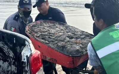Participa Marina en acciones de limpieza por derrame de hidrocarburo en el norte de Veracruz