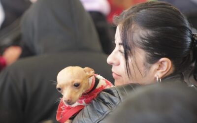 Más de 900 servicios veterinarios gratuitos en Texcoco