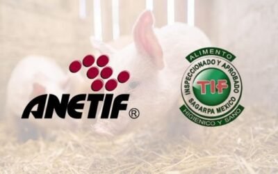 MÉXICO SE CONSOLIDA COMO EXPORTADOR DE PRODUCTOS CÁRNICOS