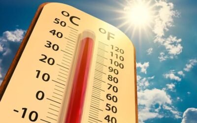 OMS reporta más de mil 300 muertos en Europa por la intensa ola de calor