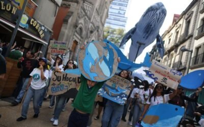 Frenan temporalmente autorización de impacto ambiental de AMIGO GNL