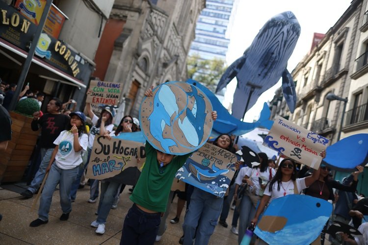 Frenan temporalmente autorización de impacto ambiental de AMIGO GNL