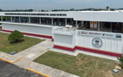 Presidenta inaugura Planta de Producción de Moscas Estériles del Gusano Barrenador del ganado