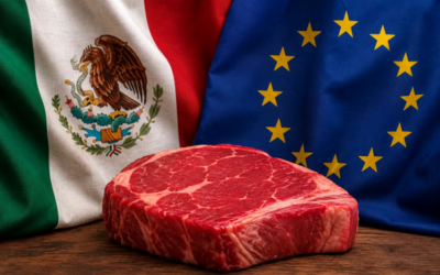 EUROPA ES UNA OPORTUNIDAD DE VALOR, NO DE VOLUMEN: ANETIF