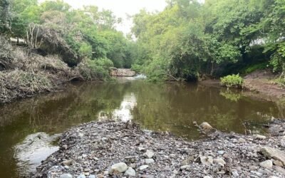SALVEMOS EL RÍO ATOYAC, EL CUAL BENEFICIAR A 3.7 MILLONES DE PERSONAS, PIDE EGUILUZ