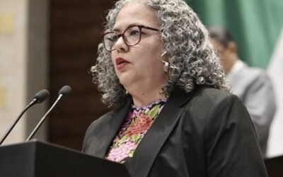 Diputada federal Graciela Domínguez, propuesta como sustituta de Rocha Moya