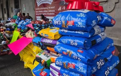 Con el apoyo de miles de mexiquenses, “Croquetmanía” reúne 93 toneladas de alimento para seres sintientes del EdoMéx