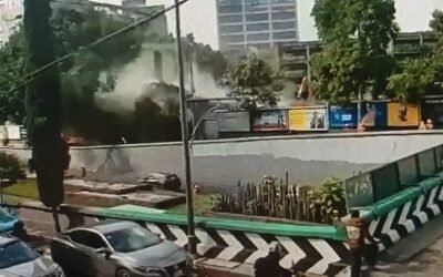 Derrumbe en Viaducto: estructura colapsa y tira un árbol sobre un auto que transitaba este martes 11 de agosto