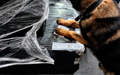 MARINA Y ANAM ASEGURAN MÁS DE 5.8 MILLONES DE CIGARROS APÓCRIFOS EN LA ADUANA DEL AICM