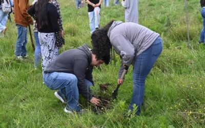 “Regresa a Clases Plantando un Árbol”, invitan autoridades mexiquenses a la comunidad escolar