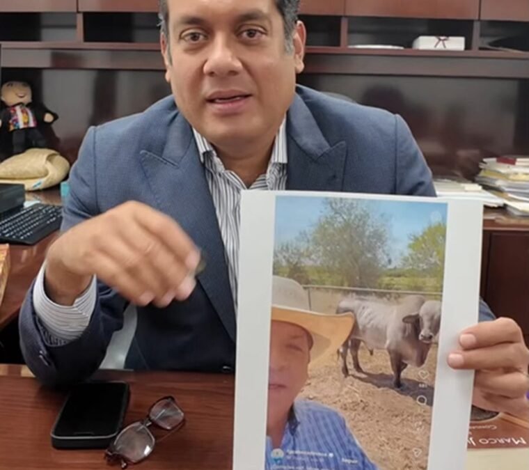 REVELA DIP. LUNA VÍNCULOS DE REFINERÍA CLANDESTINA DE REYNOSA, TAMAULIPAS CON CABEZA DE VACA
